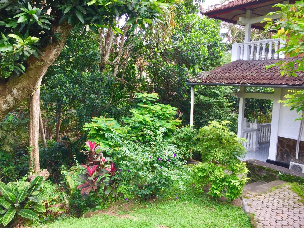 B&B Home Stay Griya Jungutan Ubud  Exterior photo