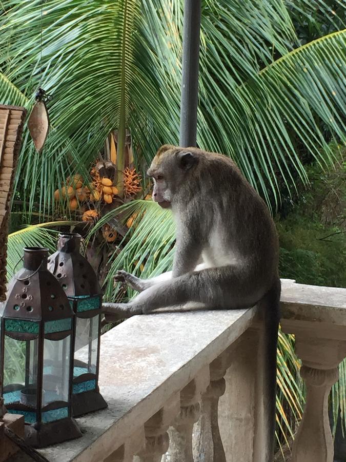 B&B Home Stay Griya Jungutan Ubud  Exterior photo